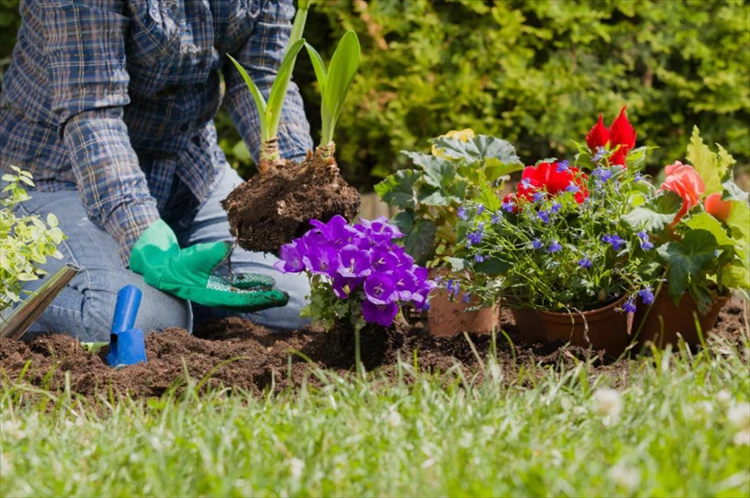 【柳叶刀子刊】种菜养花好处多！新研究发现园艺能降低癌症和慢性病风险