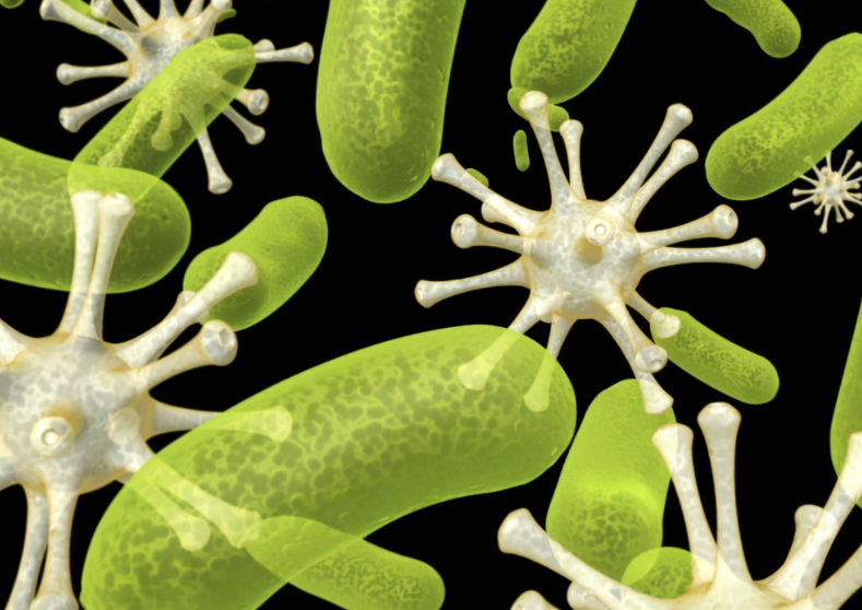 【Nature】癌症，肥胖会传染？是微生物群在作祟！家人、朋友甚至邻居都会影响你的微生物群