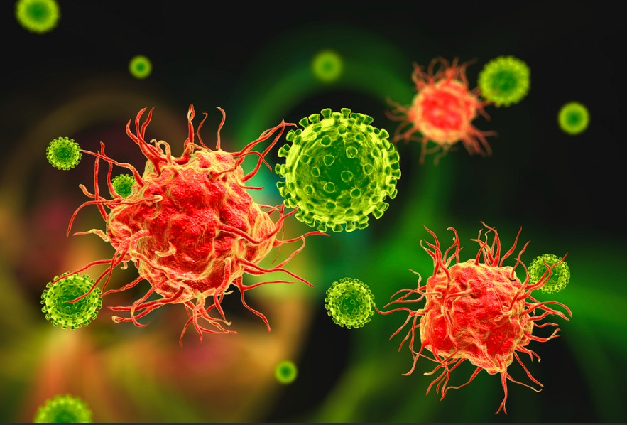 【Nature】破解50年谜团！威尔康奈尔研究人员揭示影响细胞抗病毒防御的关键因子