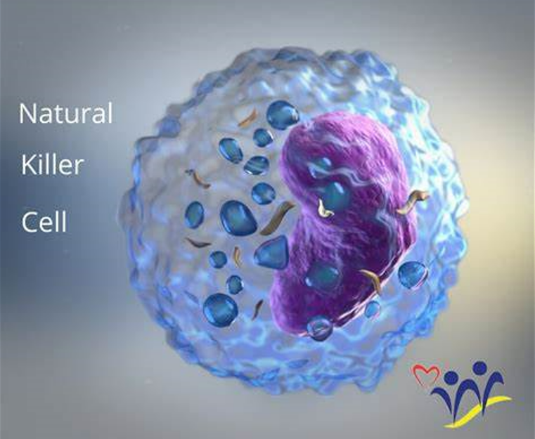 发现NK细胞过继治疗新靶点！中科大田志刚课题组等最新研究提供免疫治疗新策略