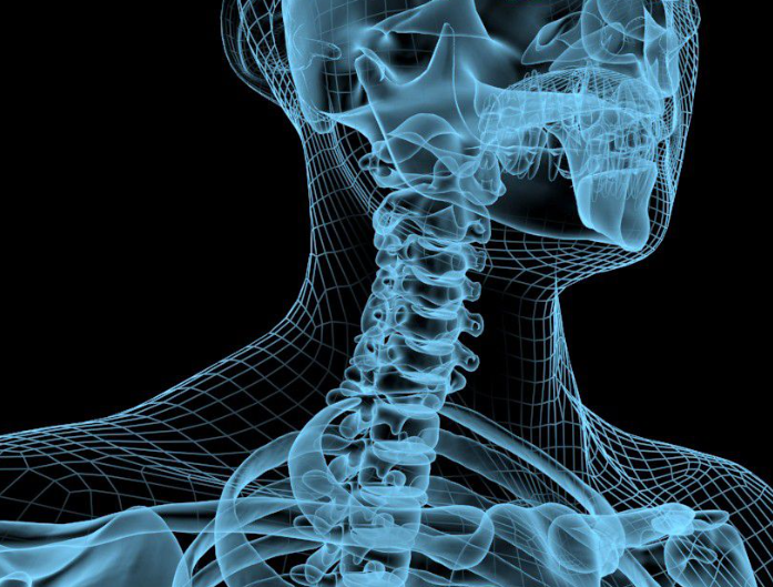 【Cell】四川大学联合牛津研究：首次发现骨中存在淋巴管！