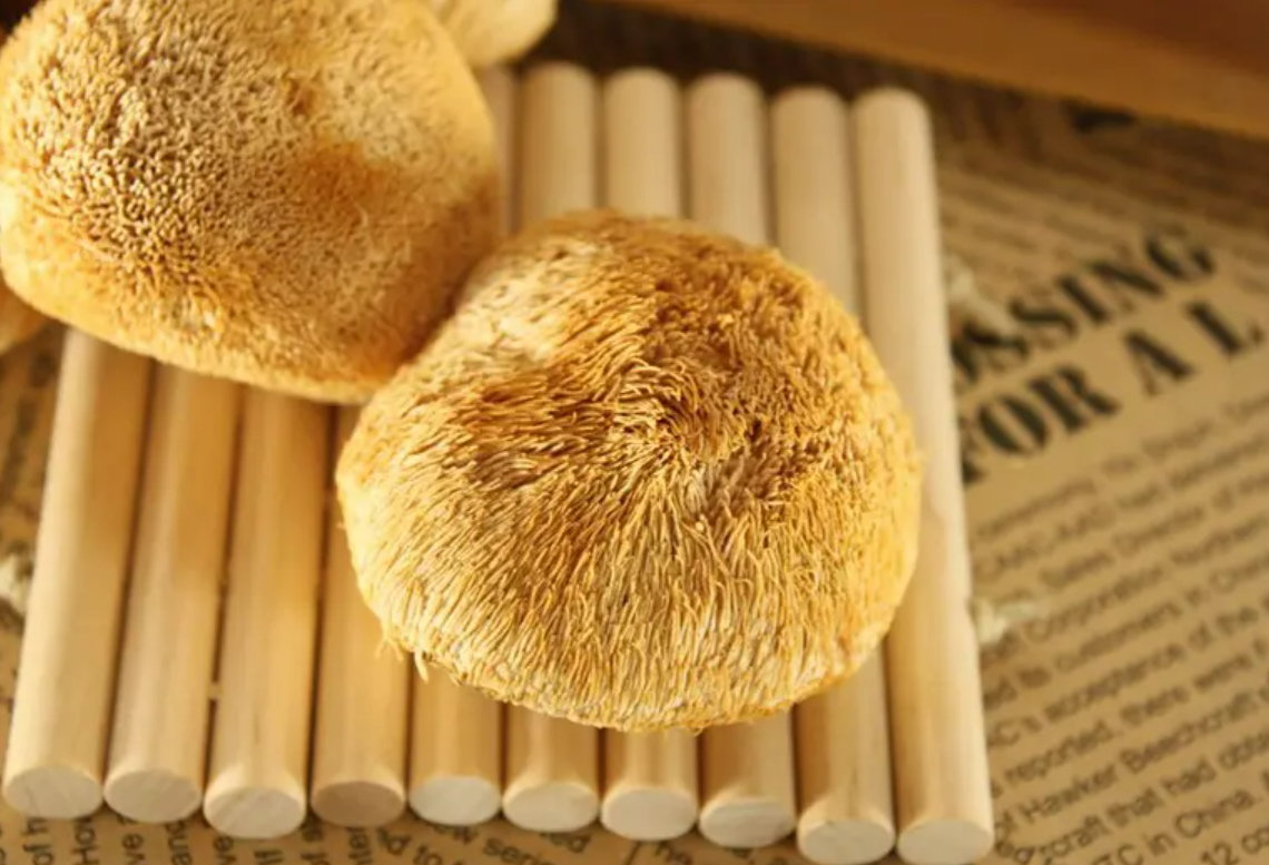 昆士兰大学脑研究所最新发现：猴头菇活性提取物可促进神经生长并增强记忆力