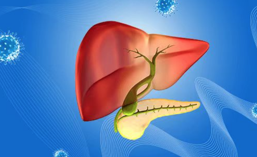 最新！纽约大学揭示化疗对胰腺腺癌及其肿瘤微环境的影响