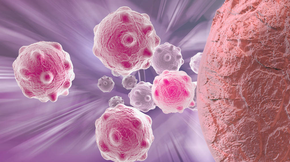 上海药物研究所等机构合作研发新一代强效PARP抑制剂，克服奥拉帕尼耐药性