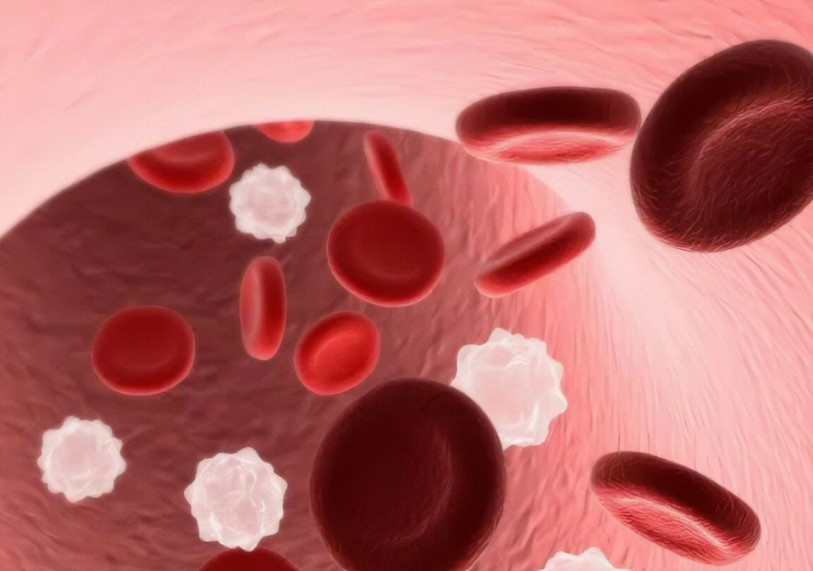 首次！西湖大学郑钜圣、郭天南团队合作揭示中国汉族人群血液蛋白质组的遗传机制