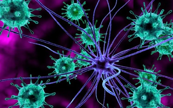 万能蛋白被破解？加州大学最新研究揭示了肺细胞如何保护自己免受RNA病毒感染