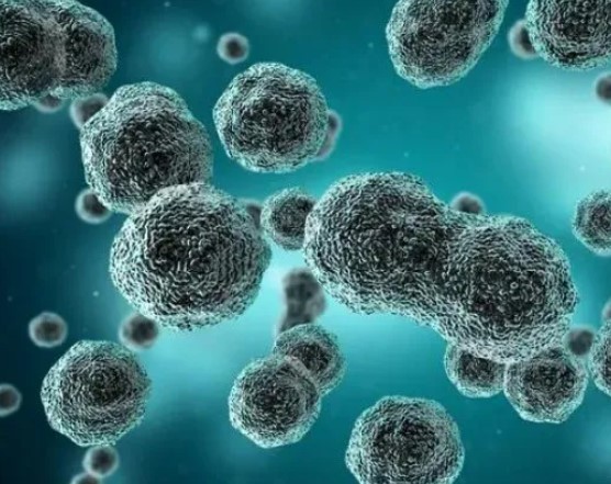 重磅！四川大学华西医院黄灿华团队研究发现癌症治疗新机制