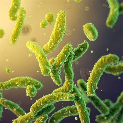 【Science子刊】新研究揭示健康的肠道细菌能够逃离肠道，增强抗肿瘤免疫力！