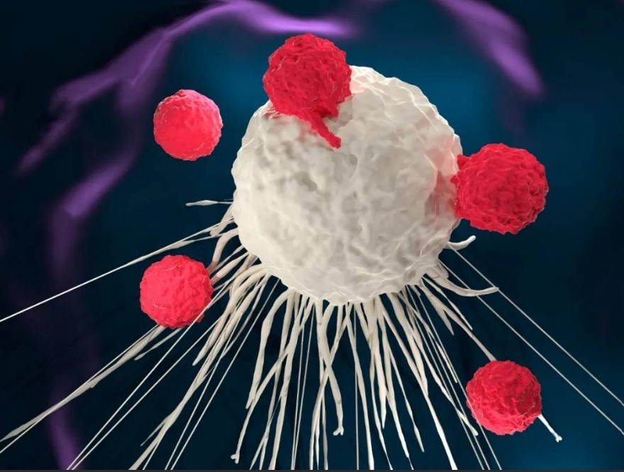 【Nature子刊】代谢重编程促癌！中山大学兰平、何真发现结直肠癌进展的调控新机制