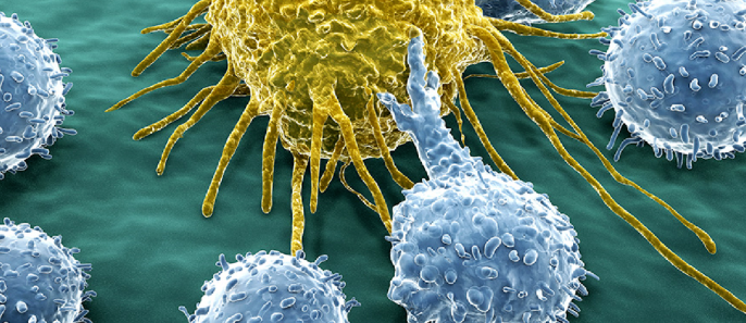 最新！上海交大房静远教授团队首次揭示肠道菌群失调调控结直肠癌发生发展机制