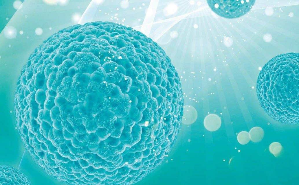 重磅发布！北京大学周永胜、汤富酬、乔杰合作对人胚胎骨髓间充质干细胞进行单细胞转录组和功能分析