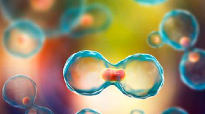 浙大医学院联合湘雅：II型糖尿病及血糖特征与胃肠道疾病间的关联