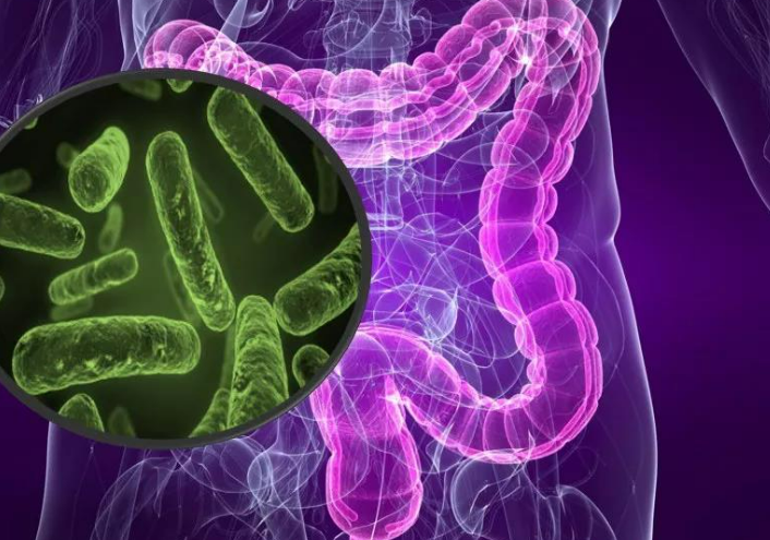 北京大学联合华西医院研究：肠道组织内共生菌可促进肿瘤免疫监视，抑制结直肠癌