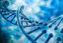 【Nature 子刊】新突破！华南理工大学王均教授团队研制出可增强免疫治疗的新基因纳米药物