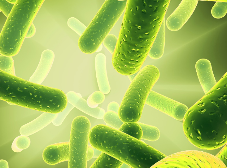 【Cell】“食疗”抗癌！科学家发现食用色氨酸食物可提高癌症免疫治疗效果