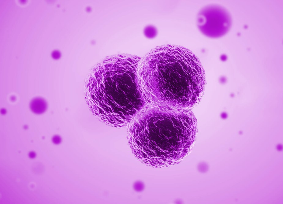 最新！浙江大学李兰娟等团队合作发现调控异质性巨噬细胞以促进肝细胞癌免疫治疗的方法