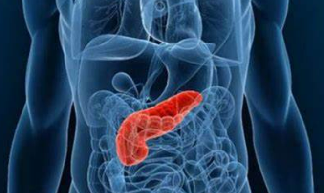 【STTT】北京协和医院赵玉沛院士团队胰腺癌最新综述：肥胖和糖尿病如何促进胰腺癌