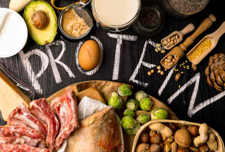 【Cell Research】浙江大学，重庆大学合作揭示高蛋白食物的“减脂密码”