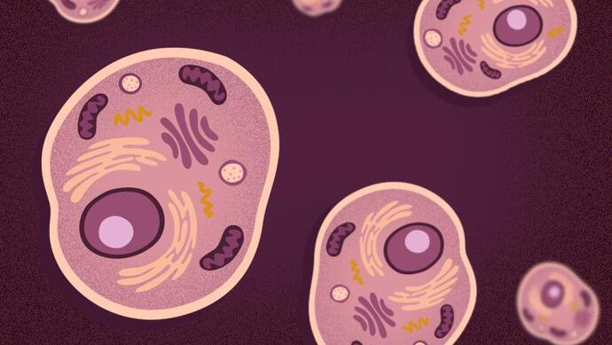 【Nature子刊】强强联合！西湖大学合作南方医科大学共同发现细胞命运的调控新机制