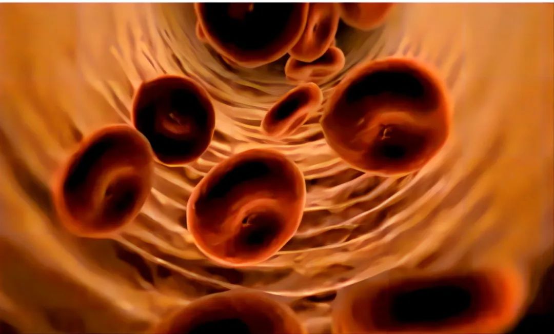 【Nature子刊】重磅！北京大学发现糖尿病治疗新药 血糖控制和减重方面疗效最高