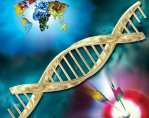 最新！李劲松、汤富酬、吴立刚、徐国良发现DNA甲基化在小鼠原肠胚形成过程中的关键作用