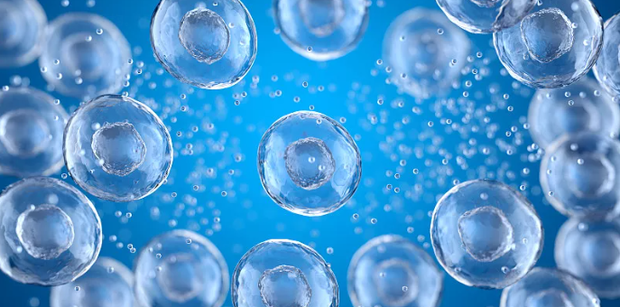 重磅！复旦大学附属中山医院在抑制肺癌、提升化疗效果上取得新进展！