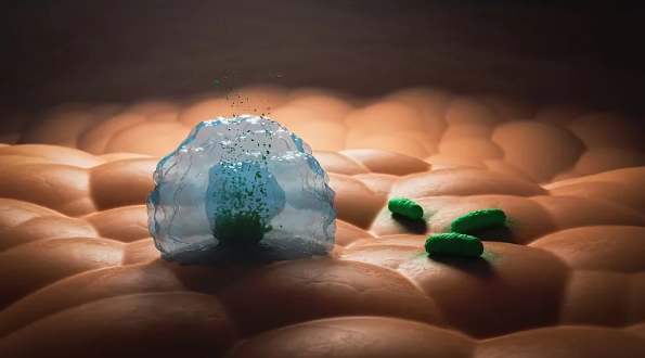 在肺癌精确治疗方面取得重大突破！沈阳药科大学最新发现！