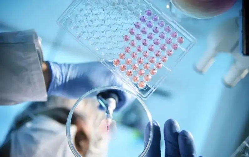 新突破! 大连化物所秦建华团队开发多器官芯片技术探究新冠感染导致神经系统损害