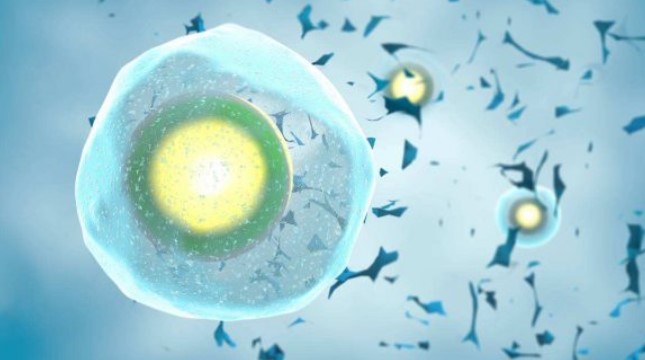 重大进展！山东大学齐鲁医院团队在靶向结直肠癌方面取得新成果