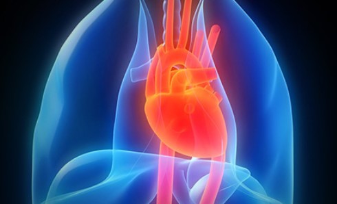 二甲双胍“再封神”！重医大二院研究：心衰合并糖尿病重症，二甲双胍有保护作用！