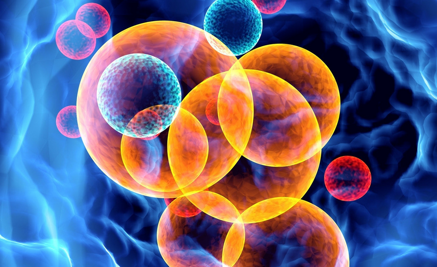 【Nature子刊】新方向！诊断肺癌新工具，或可用于临床治疗