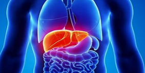 《Cell Reports》浙江大学研究团队发现推动肝脏肿瘤发生新机制