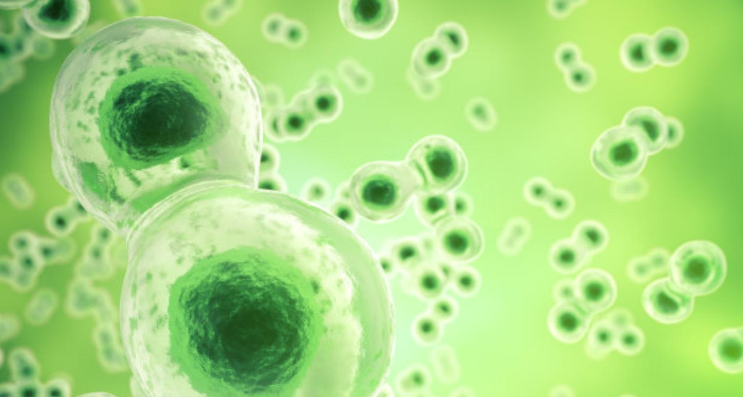 哈佛医学院最新进展：可用于改善癌症治疗及可靠的联合治疗