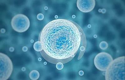 【CELL DEATH DIS】南方科技大学：前沿研究！可抑制肝细胞癌的致瘤表型