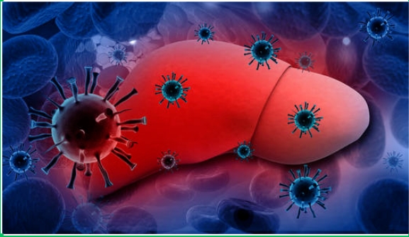 【CTM】温医大附属第一医院团队发现肝癌铁死亡新机制 揭示增敏肝癌耐药新靶点