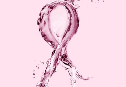 再取进展！厦门大学研究团队发现调节乳腺癌细胞粘附和肿瘤转移的机制