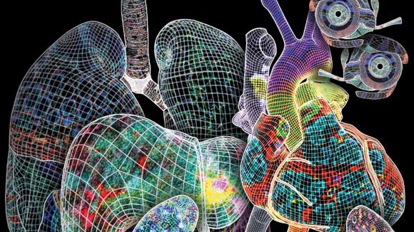 Nature重磅封面专题！三连发！斯坦福大学、华盛顿大学等发布最新参考细胞图谱