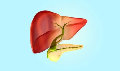 最新！上海交通大学医学院附属瑞金医院发现调节胰腺癌治疗的重要因子