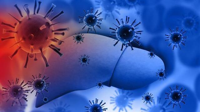 最新！南方医科大学发现肝细胞癌治疗新靶点