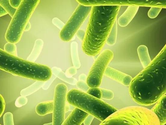 Science重磅！北京大学乔杰院士、科学探索奖姜长涛教授等联合国外团队发文