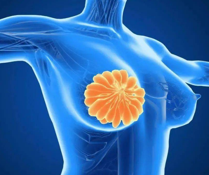 最新！复旦大学附属肿瘤医院/复旦大学邵志敏/江一舟团队再度发文