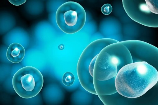 最新！中国科学院杭州医学研究所谭蔚泓院士与邱丽萍教授联合发文