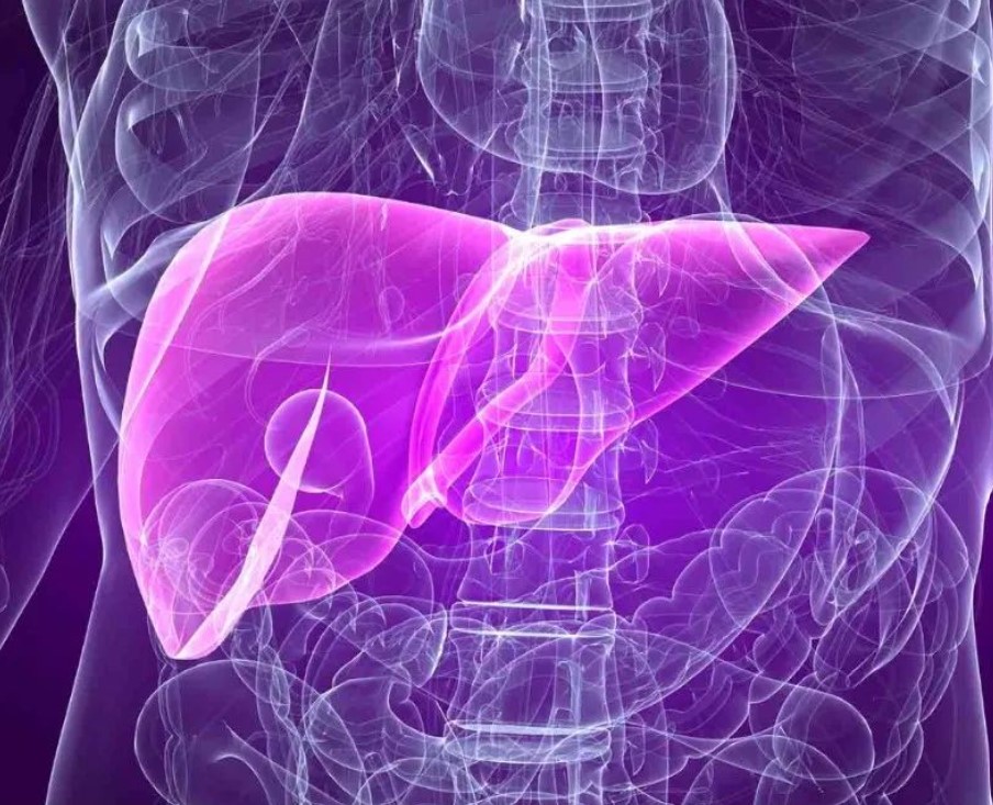 靶向新策略！浙大团队发现促进肝内胆管癌的进展新机制