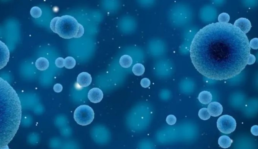 增强抗肿瘤疗效！中南湘雅联合中山大学最新发文