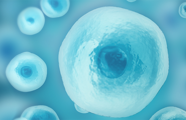 “高通量、高灵敏度”！浙江大学郭国骥、梁廷波等发文：公布新型单核总RNA测序方法