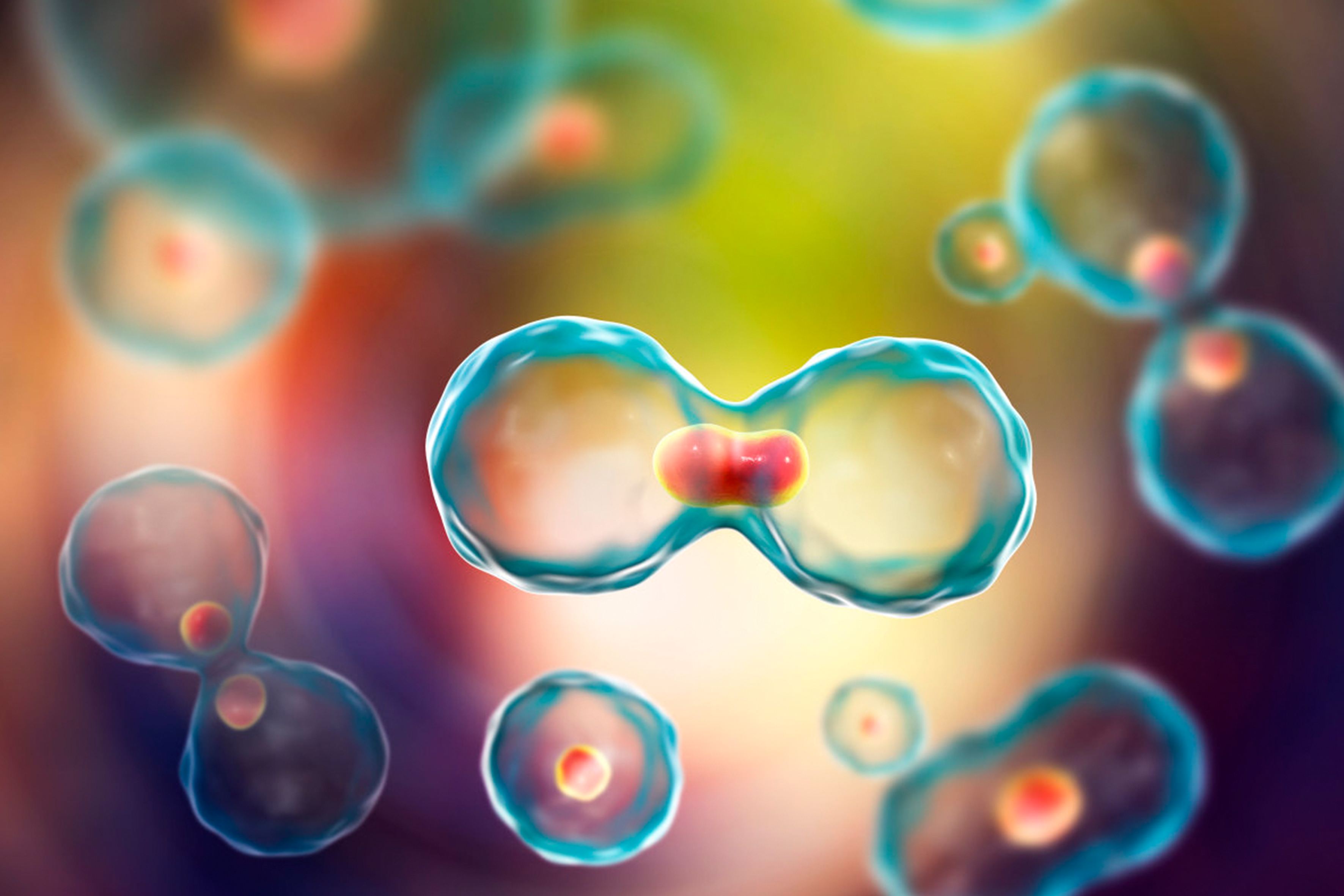 【Adv. Sci.】中国科学院和华南理工学者发文：共同研发了一种可以改善癌症化疗免疫治疗的新型水凝胶