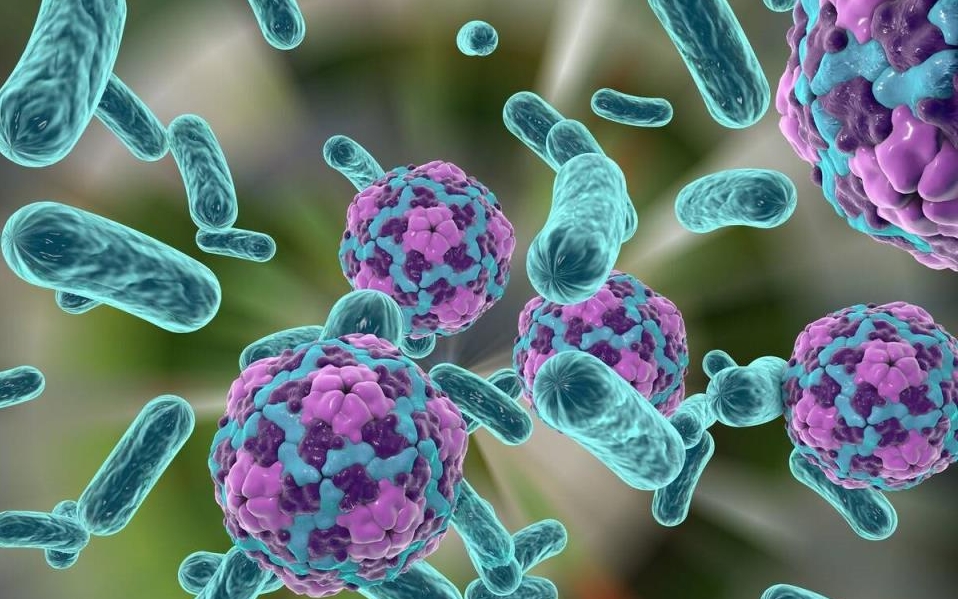 新进展！南开大学/天津医科大学等合作发文：支原体促进肝癌发生和发展的新机制