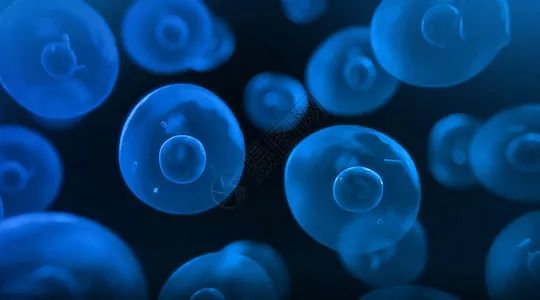 铁死亡新发现！复旦大学附属中山医院发现诱导癌症铁死亡最新机制