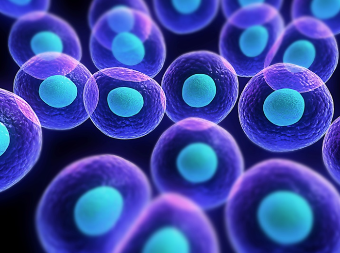 龙行龘龘！曹雪涛团队二连发