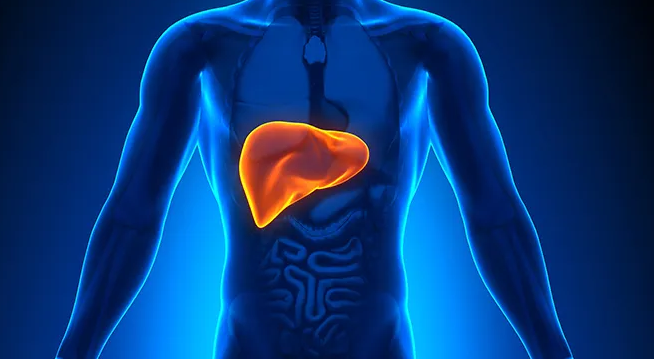 克服耐药性！复旦大学董琼珠/钦伦秀/陆路发现肝细胞癌潜在治疗靶点和生物标志物